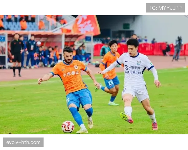 球迷热议：新赛季战术调整成关键，球队表现备受期待